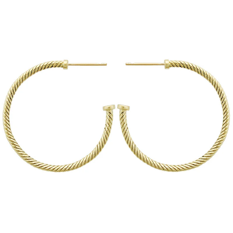 Best hoop earrings with vintage rhinestone embellishments for a retro-glam effect-Earrings-Plain Gold