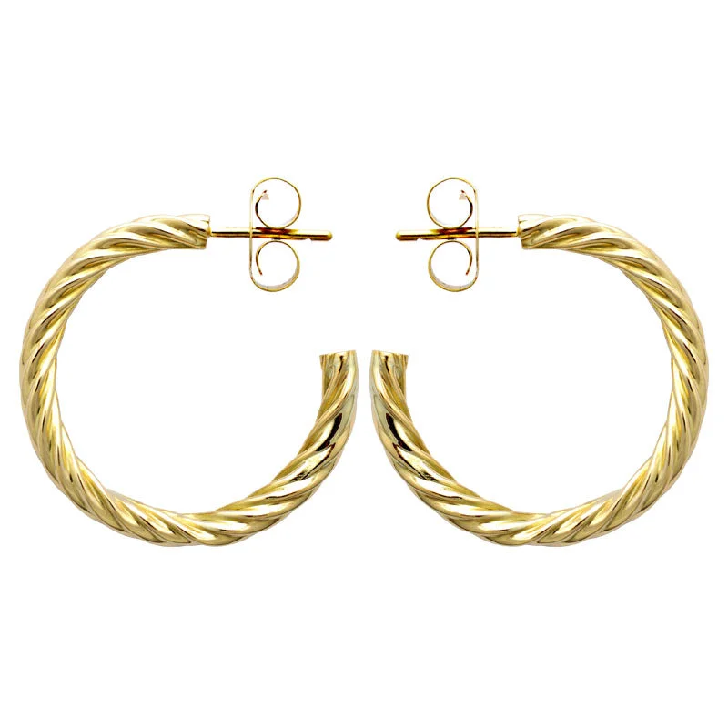 Best hoop earrings with sparkling cubic zirconia for a brilliant, budget-friendly effect-Earrings-Plain Gold